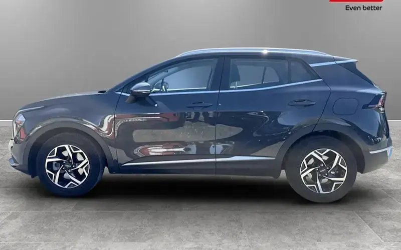 Used Kia Sportage 159 HP (116 kW) 2024 SUV