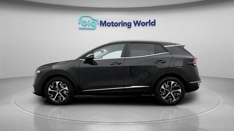 Used Kia Sportage 148 HP (108 kW) 2023 SUV