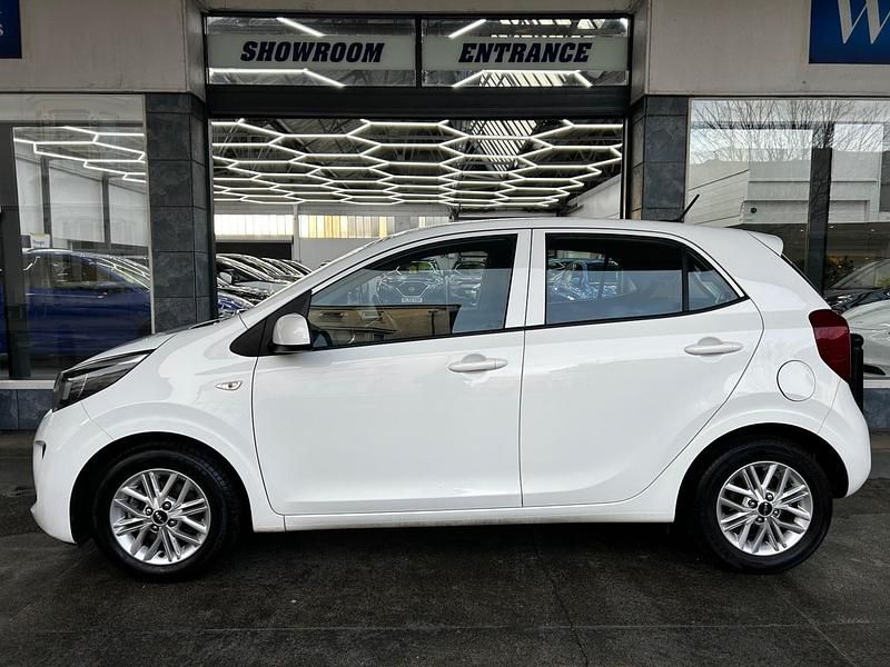 Used Kia Picanto 66 HP (48 kW) 2021 White Hatchback