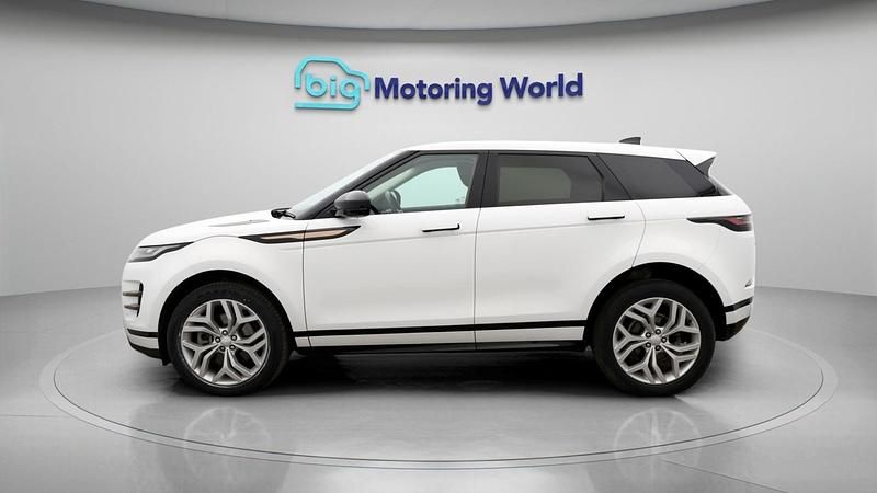 Used Land Rover Range Rover evoque SE Dynamic 204 HP (150 kW) 2021 White SUV