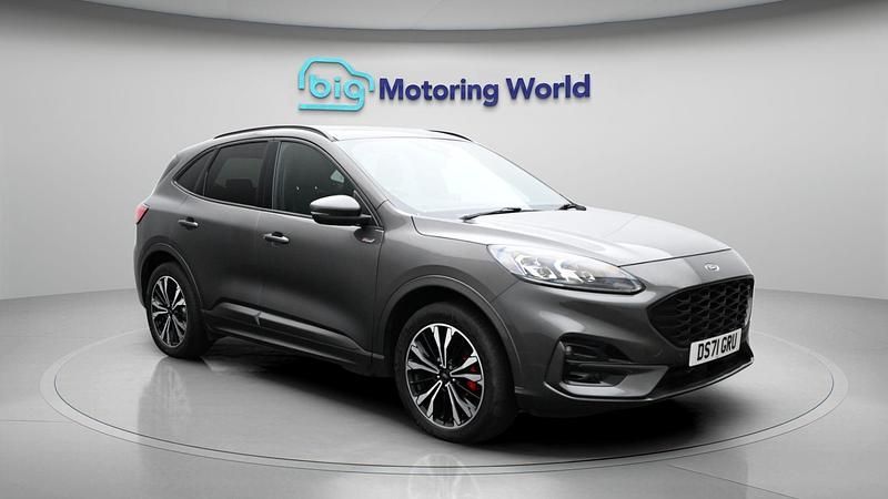 Used Ford Kuga ST-Line X 222 HP (163 kW) 2022 SUV