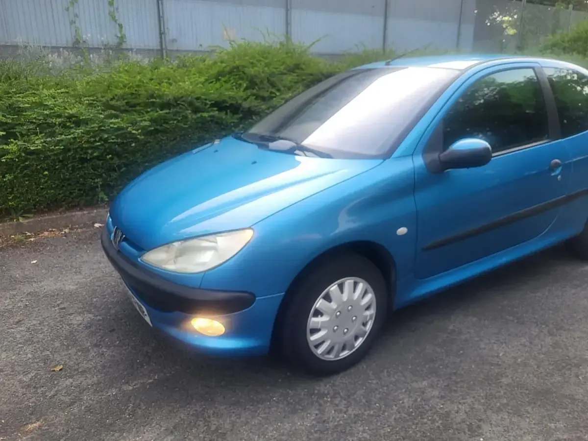 Used Peugeot 206 68 HP (50 kW) 2002 Blue Hatchback
