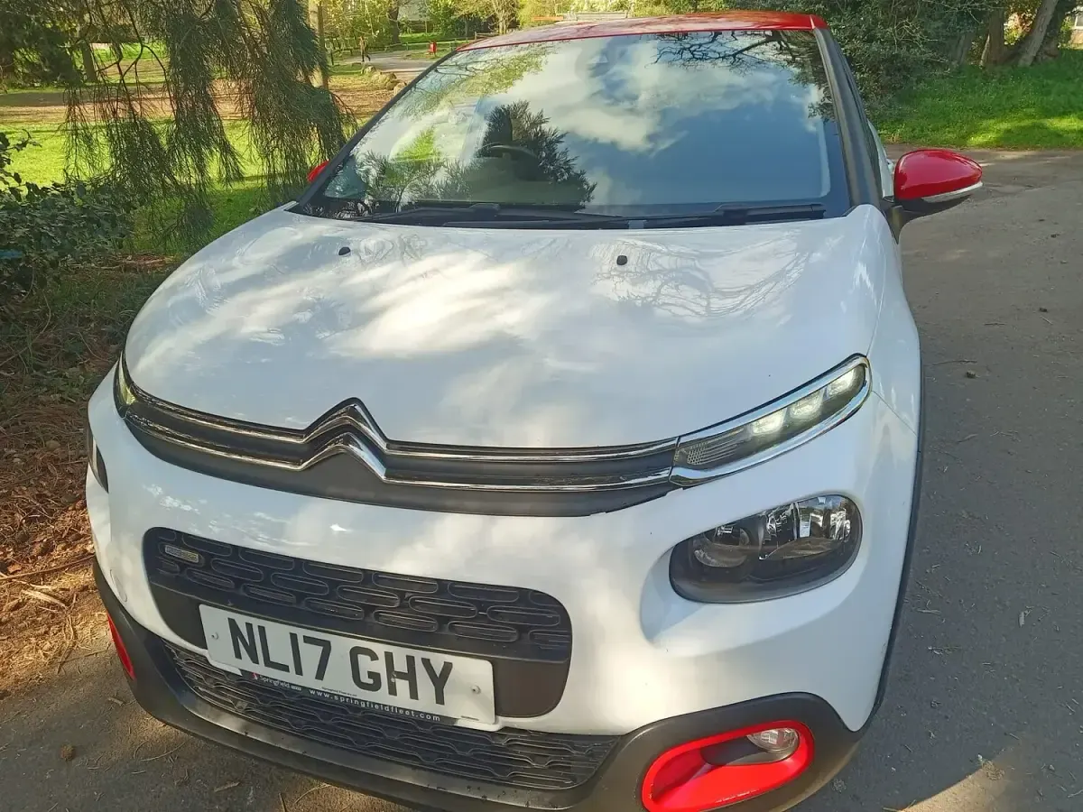 Used Citroën C3 Flair 110 HP (80 kW) 2017 White Hatchback