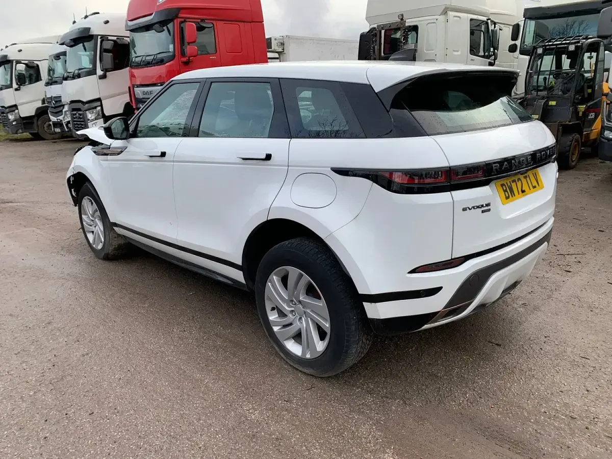 Used Land Rover Range Rover evoque R-Dynamic 160 HP (117 kW) 2023 White Estate