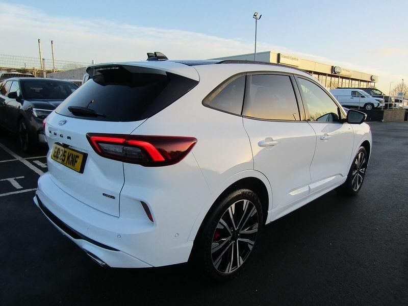 Used Ford Kuga ST-Line X 2025 White SUV