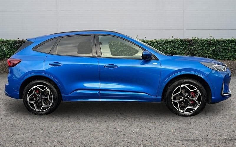 Used Ford Kuga ST-Line X 242 HP (177 kW) 2026 SUV