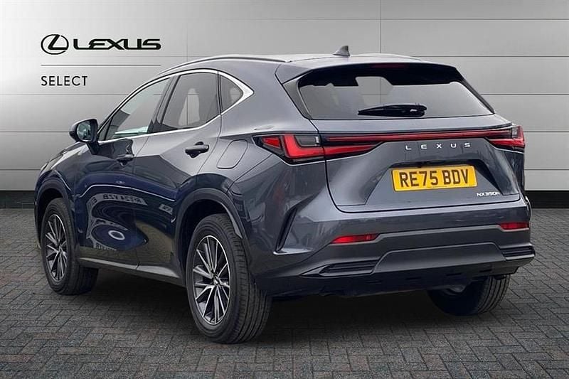Used Lexus NX350h 243 HP (178 kW) 2025 Grey SUV