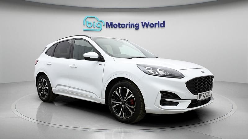 Used Ford Kuga ST-Line X 188 HP (138 kW) 2023 SUV