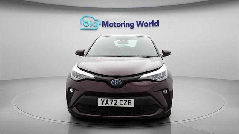 Used Toyota C-HR 122 HP (89 kW) 2023 Purple SUV