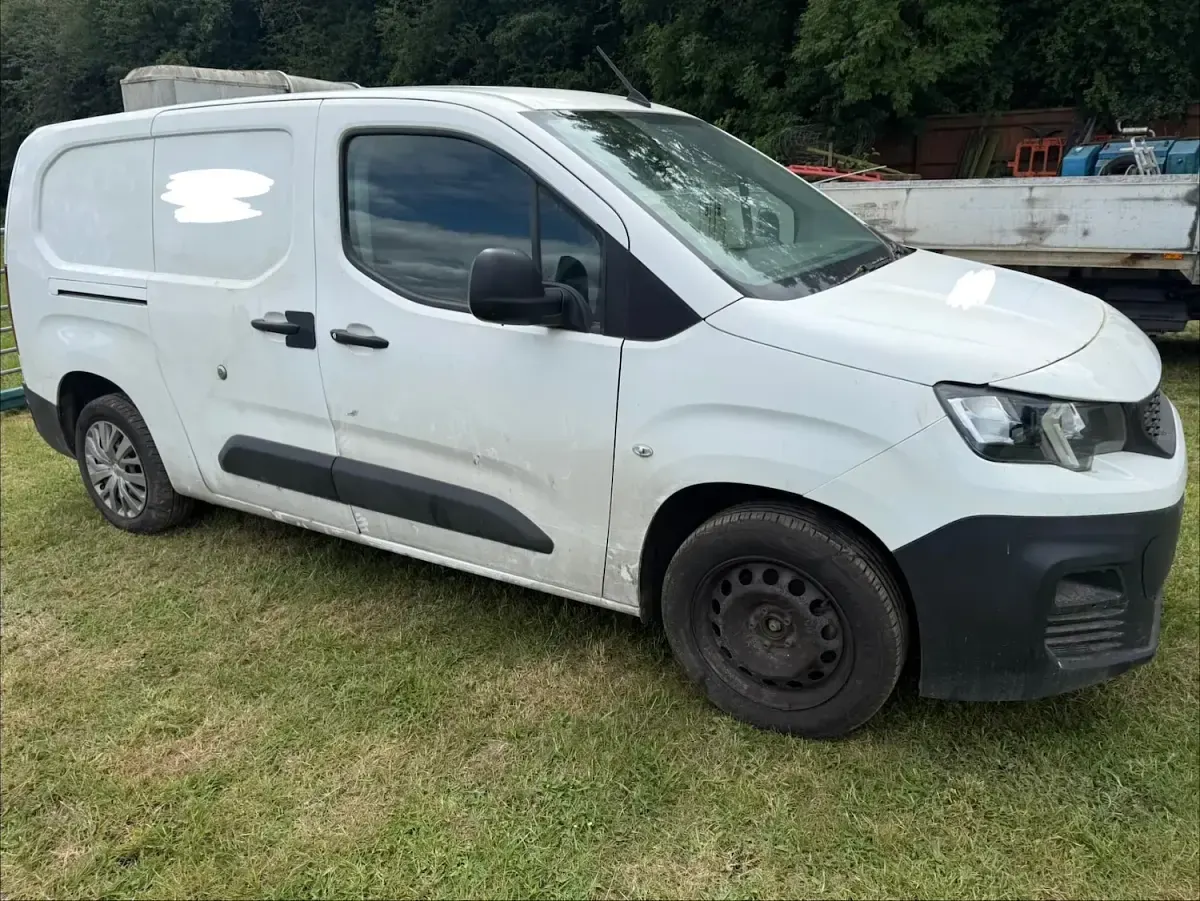 Used Peugeot Partner 131 HP (96 kW) 2020 White MPV