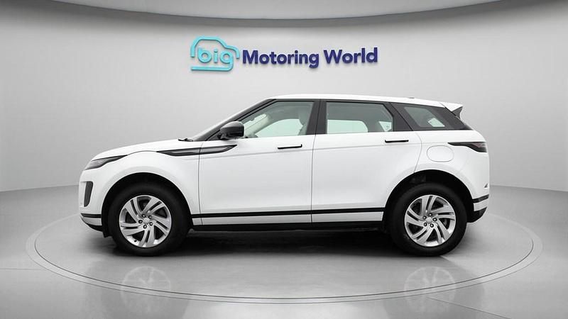 Used Land Rover Range Rover evoque S 269 HP (197 kW) 2024 White SUV