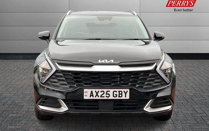 Used Kia Sportage 159 HP (116 kW) 2024 SUV