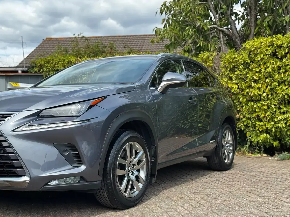 Used Lexus NX300h Luxury Line 2018 Grey SUV