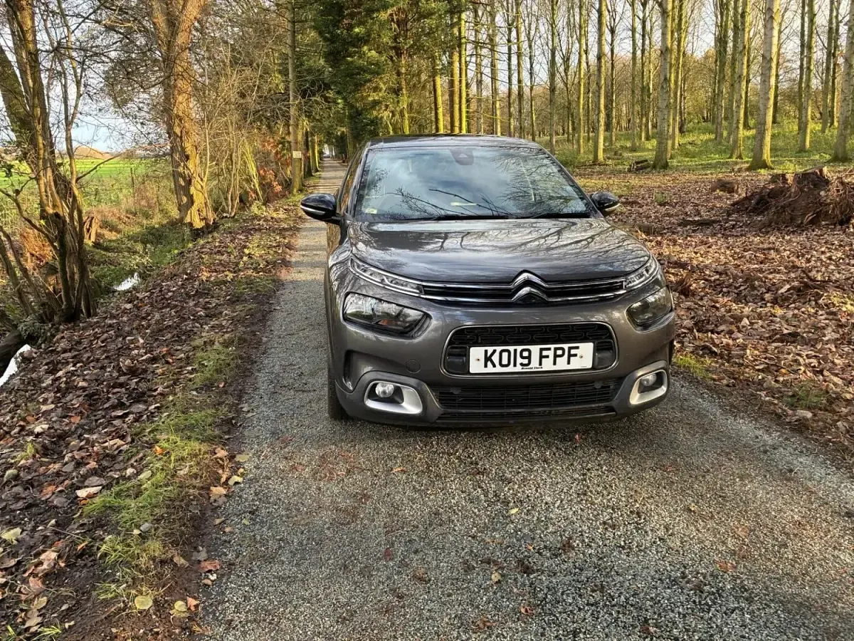 Used Citroën C4 Cactus Flair 130 HP (95 kW) 2019 Grey Hatchback