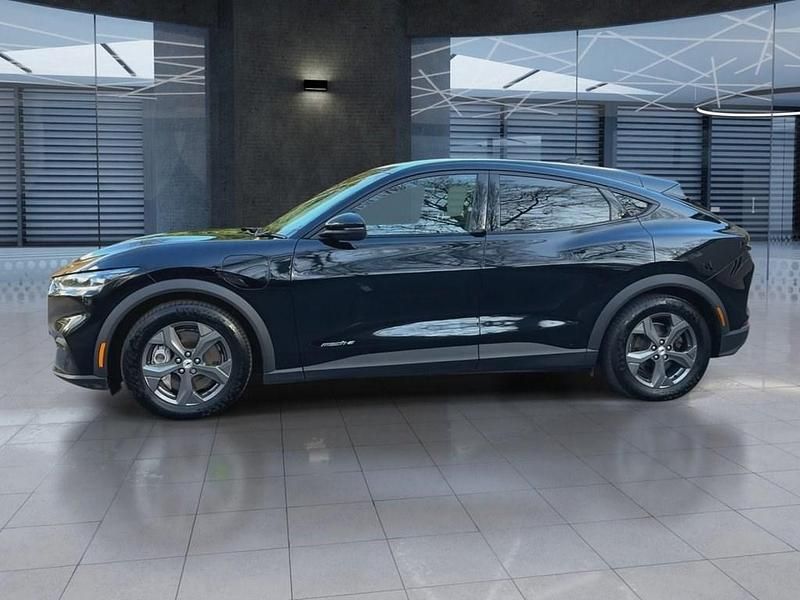 Used Ford Mustang Standard Range 269 HP (197 kW) 2021 Black SUV