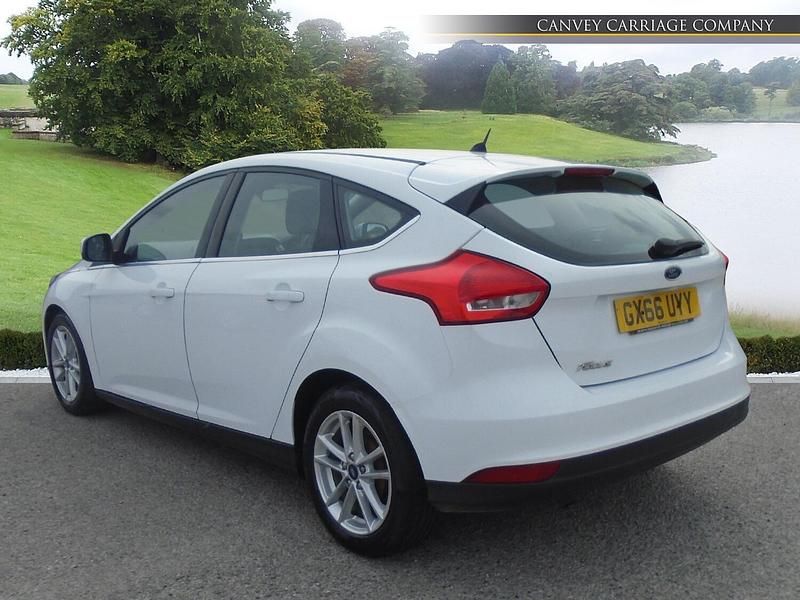 Used Ford Focus Zetec 120 HP (88 kW) 2016 White Hatchback