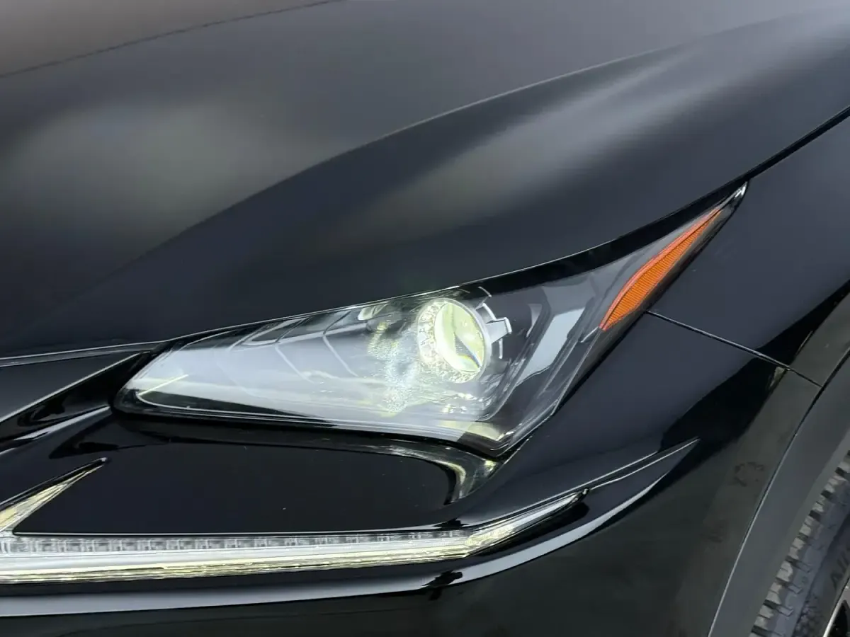 Used Lexus NX300h 2019 Black SUV