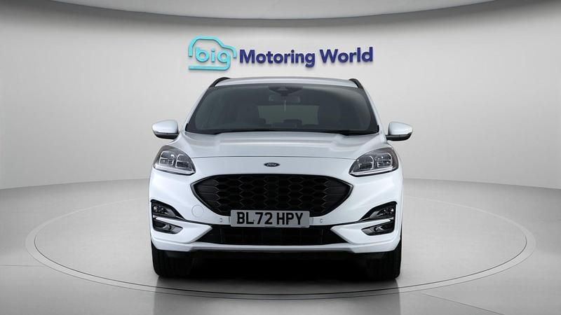 Used Ford Kuga ST-Line 222 HP (163 kW) 2023 White SUV
