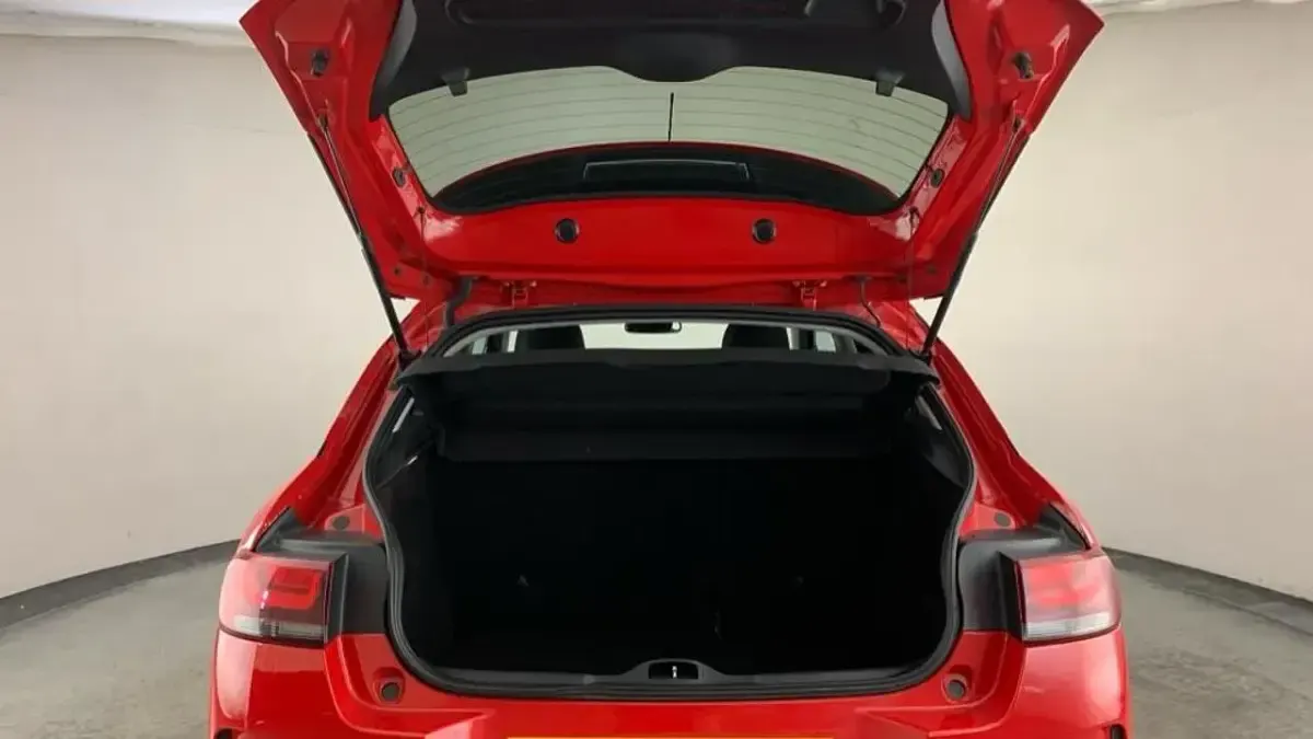 Used Citroën C4 Cactus Flair 99 HP (72 kW) 2019 Red Hatchback