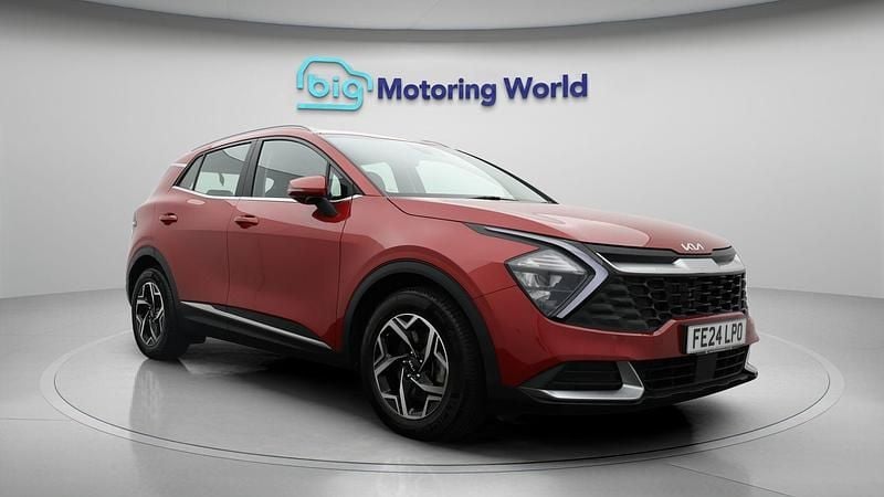 Used Kia Sportage 148 HP (108 kW) 2024 SUV