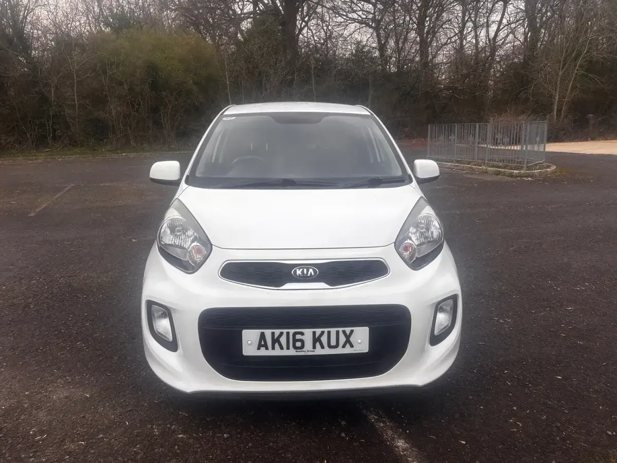 Used Kia Picanto 66 HP (48 kW) 2016 White Hatchback