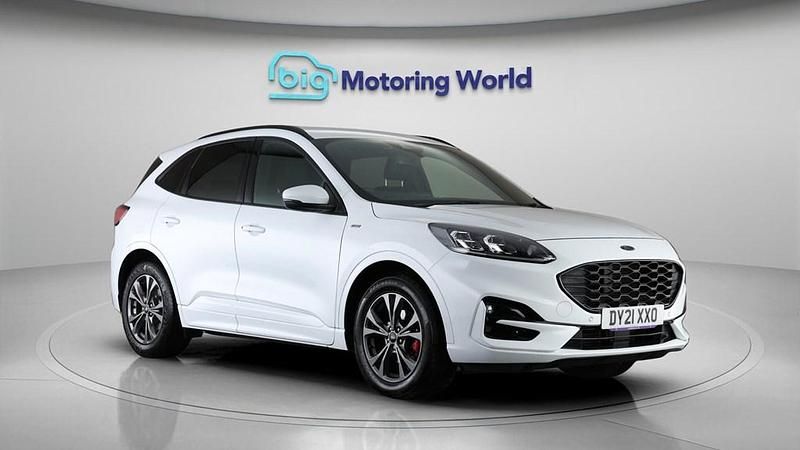 Used Ford Kuga ST-Line 120 HP (88 kW) 2021 White SUV