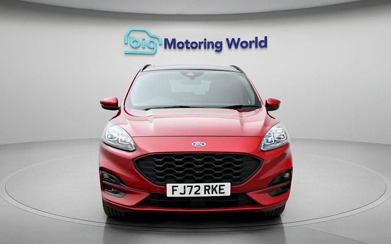 Used Ford Kuga ST-Line X 224 HP (164 kW) 2022 SUV