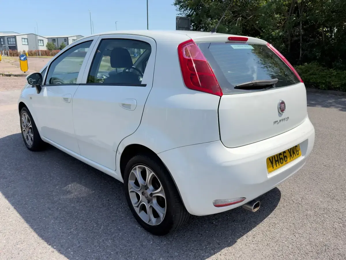Used Fiat Punto Easy Plus 69 HP (50 kW) 2016 White Hatchback