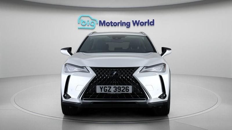 Used Lexus UX 150 kW (204 HP) 2022 White SUV