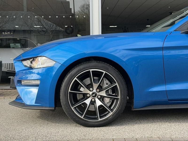 Used Ford Mustang Fastback 310 HP (228 kW) 2020 Blue Coupe