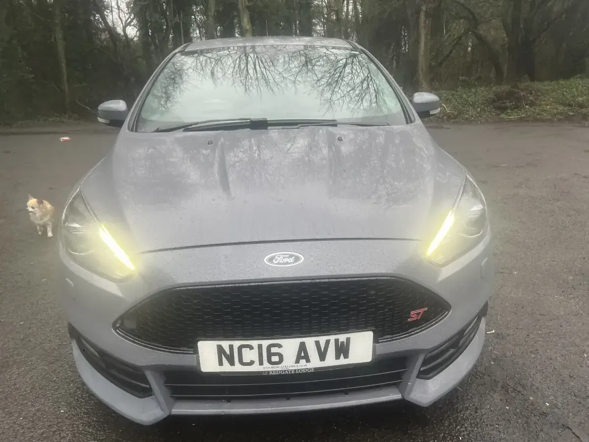 Used Ford Focus ST 185 HP (136 kW) 2016 Grey Hatchback