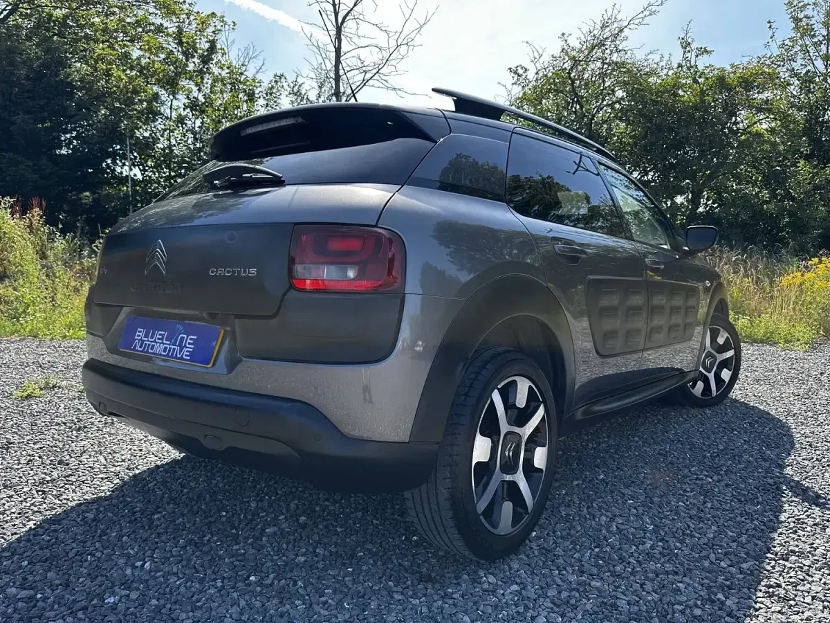 Used Citroën C4 Cactus Flair 2017 Grey Hatchback