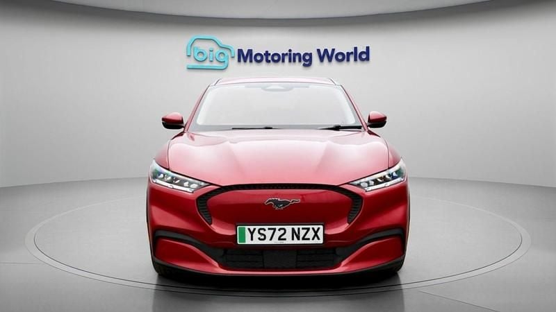 Used Ford Mustang Standard Range 269 HP (197 kW) 2021 Red Hatchback