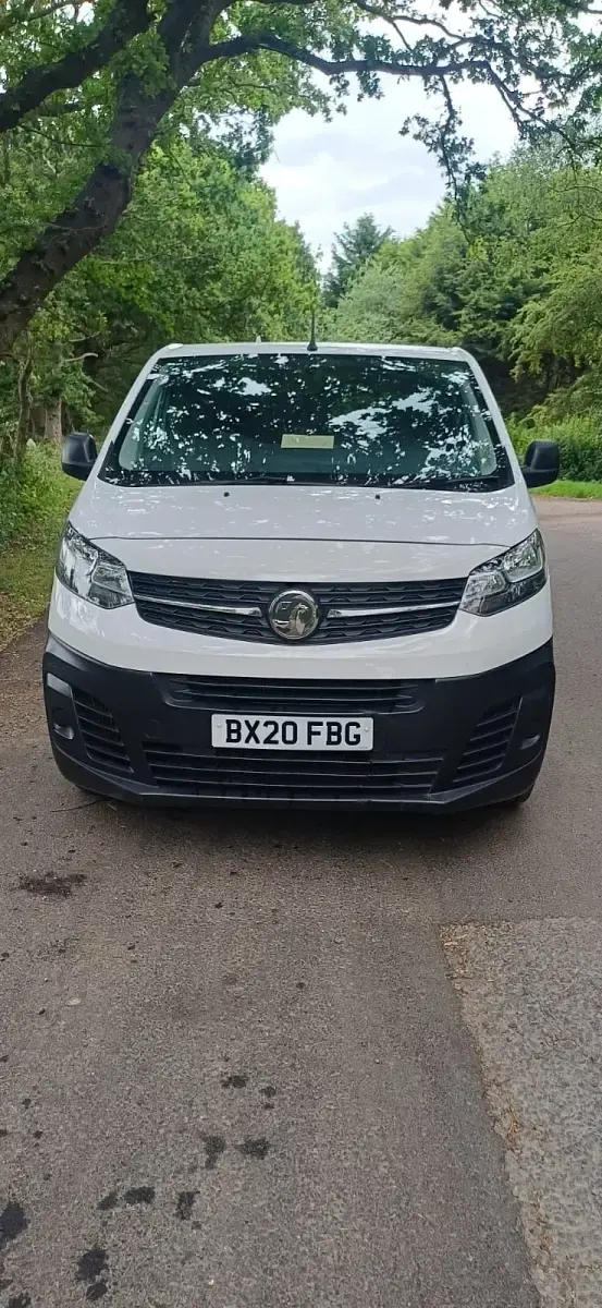 Used Vauxhall Vivaro 120 HP (88 kW) 2020 White MPV