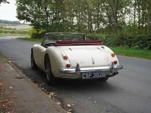 Used Austin Healey 3000 MK III 148 HP (108 kW) 1964 Others Cabriolet