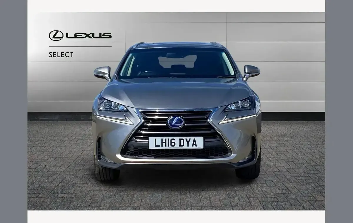 Used Lexus NX300h Luxury Line 194 HP (142 kW) 2016 Sonic titanium SUV