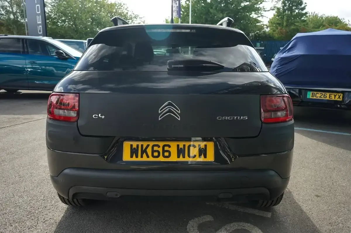 Used Citroën C4 Cactus Flair 81 HP (59 kW) 2016 Black Hatchback