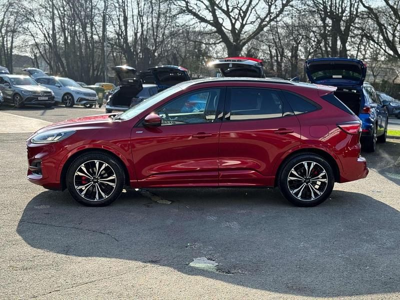 Used Ford Kuga ST-Line X 2023 Red SUV