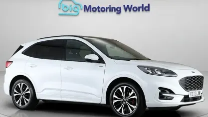 Used Ford Kuga ST-Line X 150 HP (110 kW) 2023 White SUV