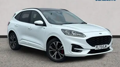 Used Ford Kuga ST-Line X 150 HP (110 kW) 2023 White SUV