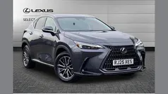 Grey Used 2025 Lexus NX450h+ SUV | £45,950 (Super price)