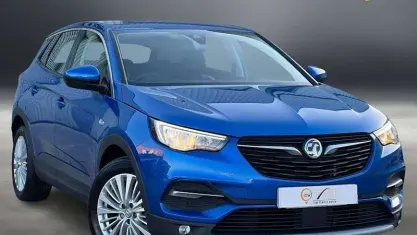 Used Vauxhall Grandland X 131 HP (96 kW) 2019 Blue SUV