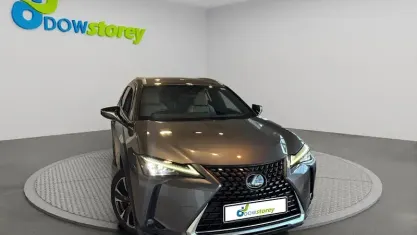 Used Lexus UX 184 HP (135 kW) 2019 Grey SUV