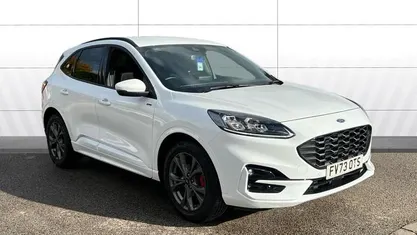 Used Ford Kuga ST-Line 150 HP (110 kW) 2023 White SUV
