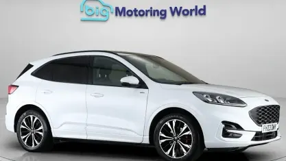 Used Ford Kuga ST-Line X 150 HP (110 kW) 2023 White SUV