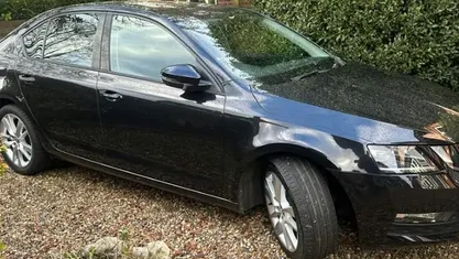 Used 2019 Skoda Octavia SE L Hatchback | £15,499 (Fair price)