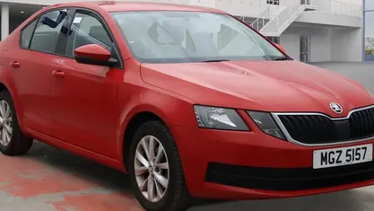 Used Skoda Octavia 116 HP (85 kW) 2019 Hatchback