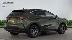 Green Used 2024 Lexus NX450h+ SUV | £43,000 (Super price)