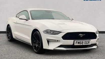 Used Ford Mustang Fastback 290 HP (213 kW) 2019 White Coupe