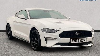 Usado Ford Mustang Fastback 310 HP (228 kW) 2019 Branco Coupé